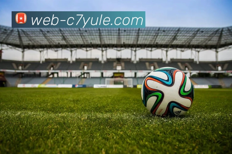 C7娱乐平台生态图